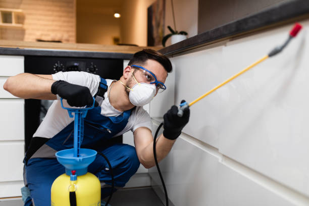Best Best Pest Control Companies  in Mogadore, OH