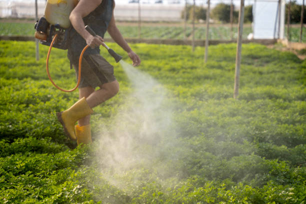 Best Exterminator Services  in Mogadore, OH