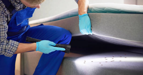 Best Ant Control Services  in Mogadore, OH