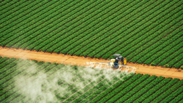 Best Commercial Pest Control Services  in Mogadore, OH