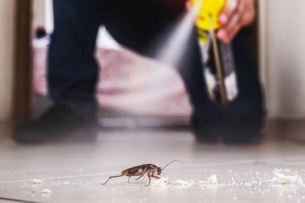Best Pest Prevention Services  in Mogadore, OH