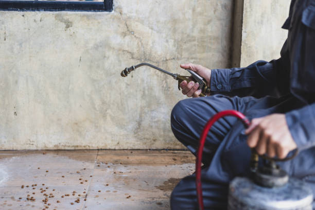 Best Pest Prevention Services  in Mogadore, OH